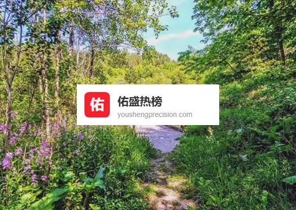 多伦多周边11处私藏湖畔绿洲