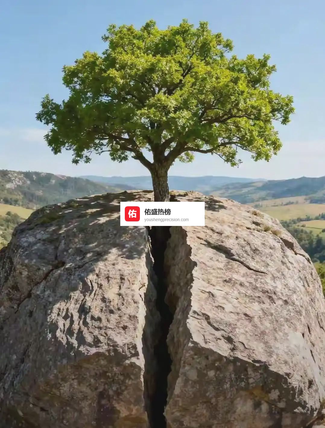 眉清目秀到声音洪亮：4个面相暗码，悄悄写进人生走向