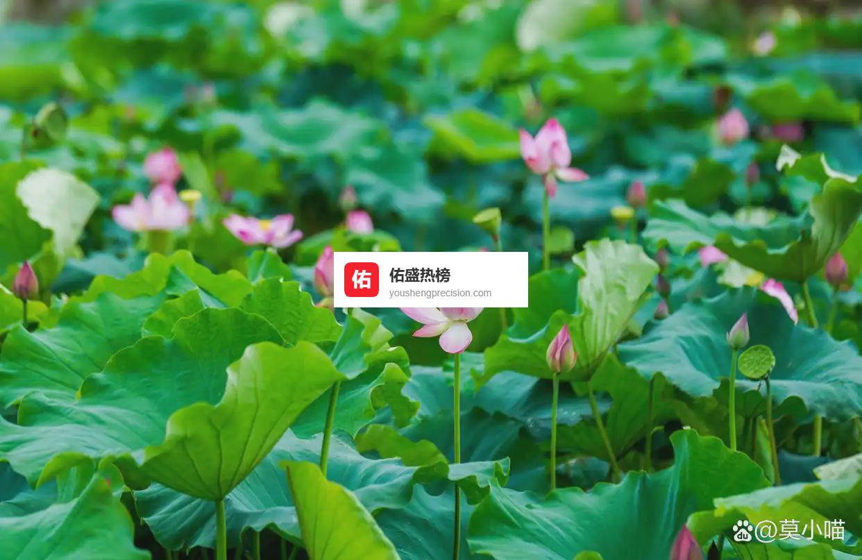 女人和婚外男人发生了亲密关系，就会有这四个“拒绝”，早晚离婚