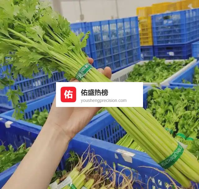 吃芹菜能降血压吗，选对新鲜有机西芹吃法才有效！