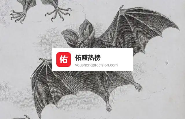 尼帕病毒“空降”泰国：果蝠身上藏毒，境外防线拉响警报