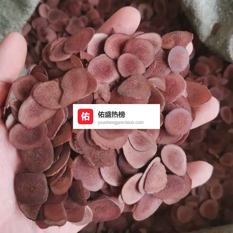 居家养生不知如何选择好物？内行分享从内调外养到全家滋补的食疗方案，多维度量化效果，全家健康有保障！