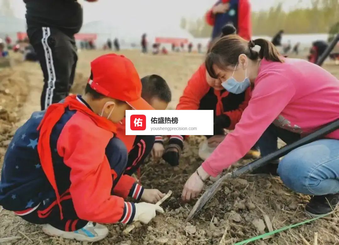 劳动课教师成长五维地图：从理念到实践的全程指南