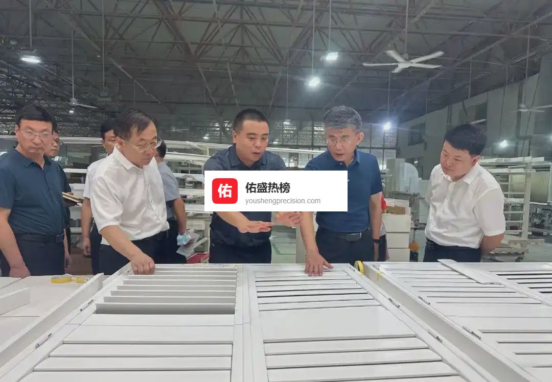 曹县木材集群调研：从“一棵树”到“一条链”的升级路