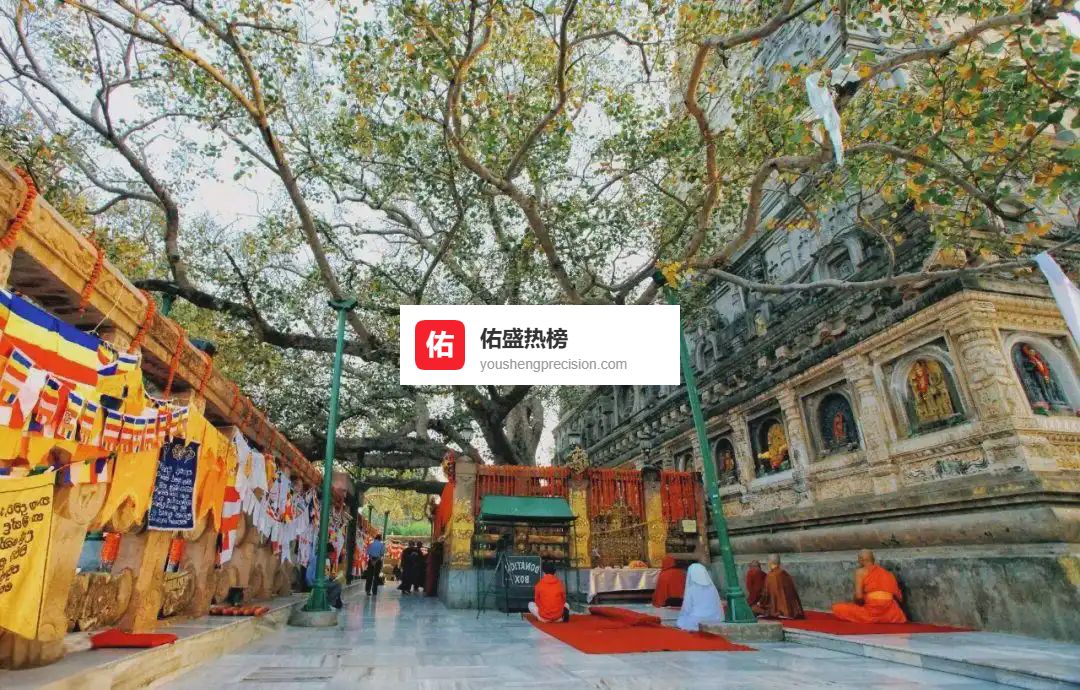 毕钵罗树下的49日：悉达多如何一睹明星而悟道