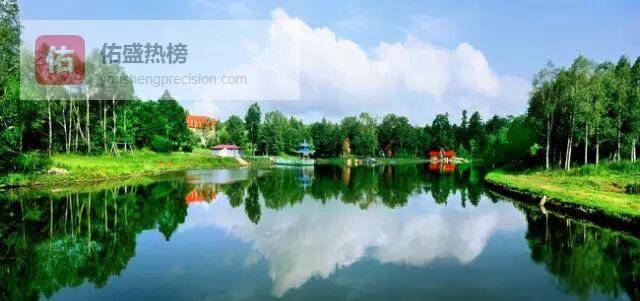 长白山西麓的“红松王国”：露水河林业局获封“中国红松之乡”