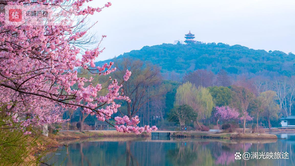 淮安旅行社排名前十名全面解析：2026年新口碑与实力深度调研报告