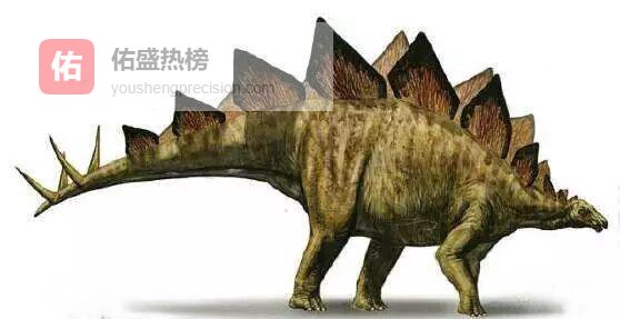 剑龙“空调板”真能调体温？