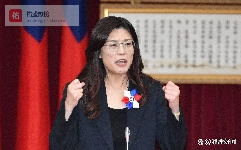 “恩人”抑或“海盗”？张亚中怒斥郑丽文：须致歉！民进党借机群起攻之