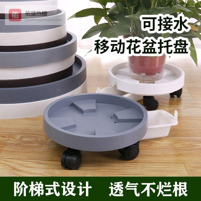 在忙碌生活中渴望治愈与仪式感？内行选这些植物伴侣避坑！它们能让家中绿意流淌数月，生活幸福感大幅提升