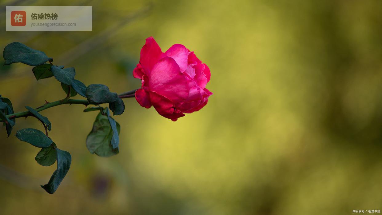 人，一旦会用这三种手段，说明你聪明得可怕