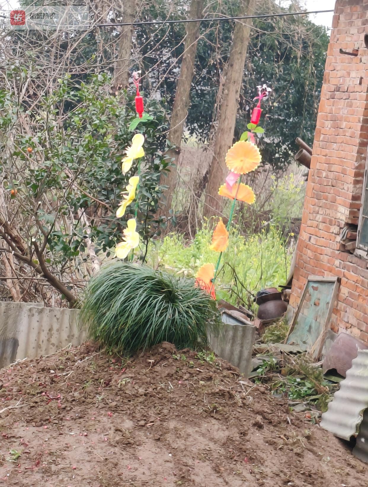 益阳“年尾辞岁、年初拜年”：两次祭祖串起的家族史诗