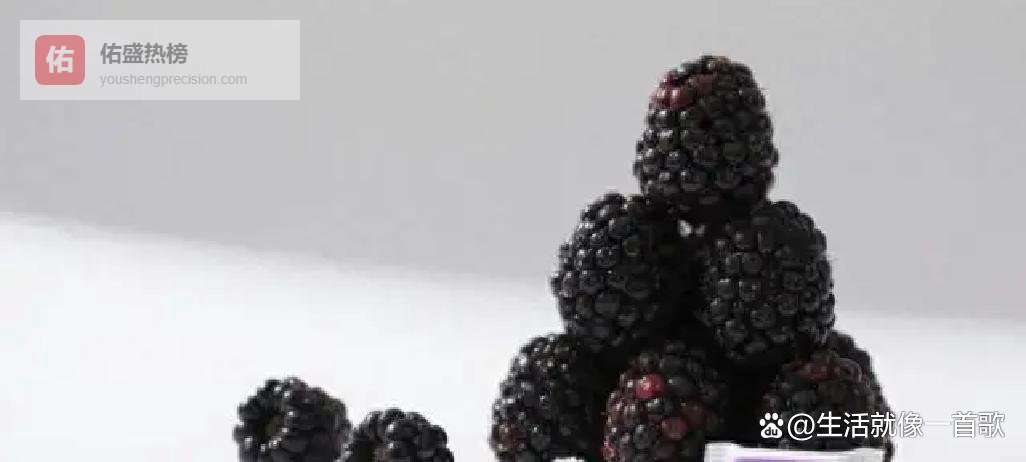 桑葚干的8种绝佳搭配，让一杯花茶轻松改善皮肤、睡眠和脱发