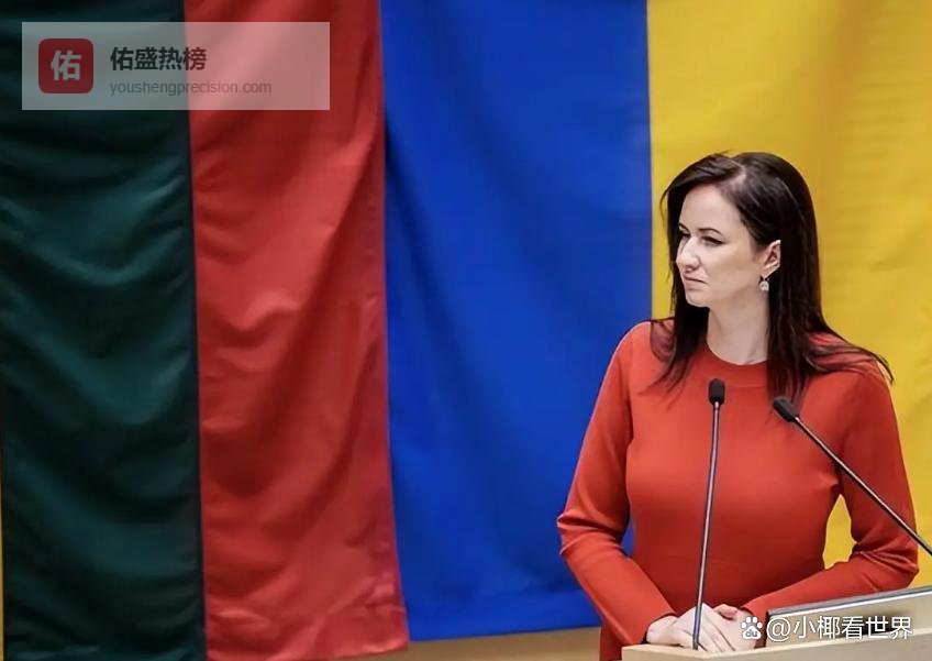 突发内讧！就在立陶宛新任女总理连夜认怂，准备亲手摘下“台湾代表处”招牌时，总统瑙塞达却突然跳出来强硬表态，彻底掀翻了谈判桌