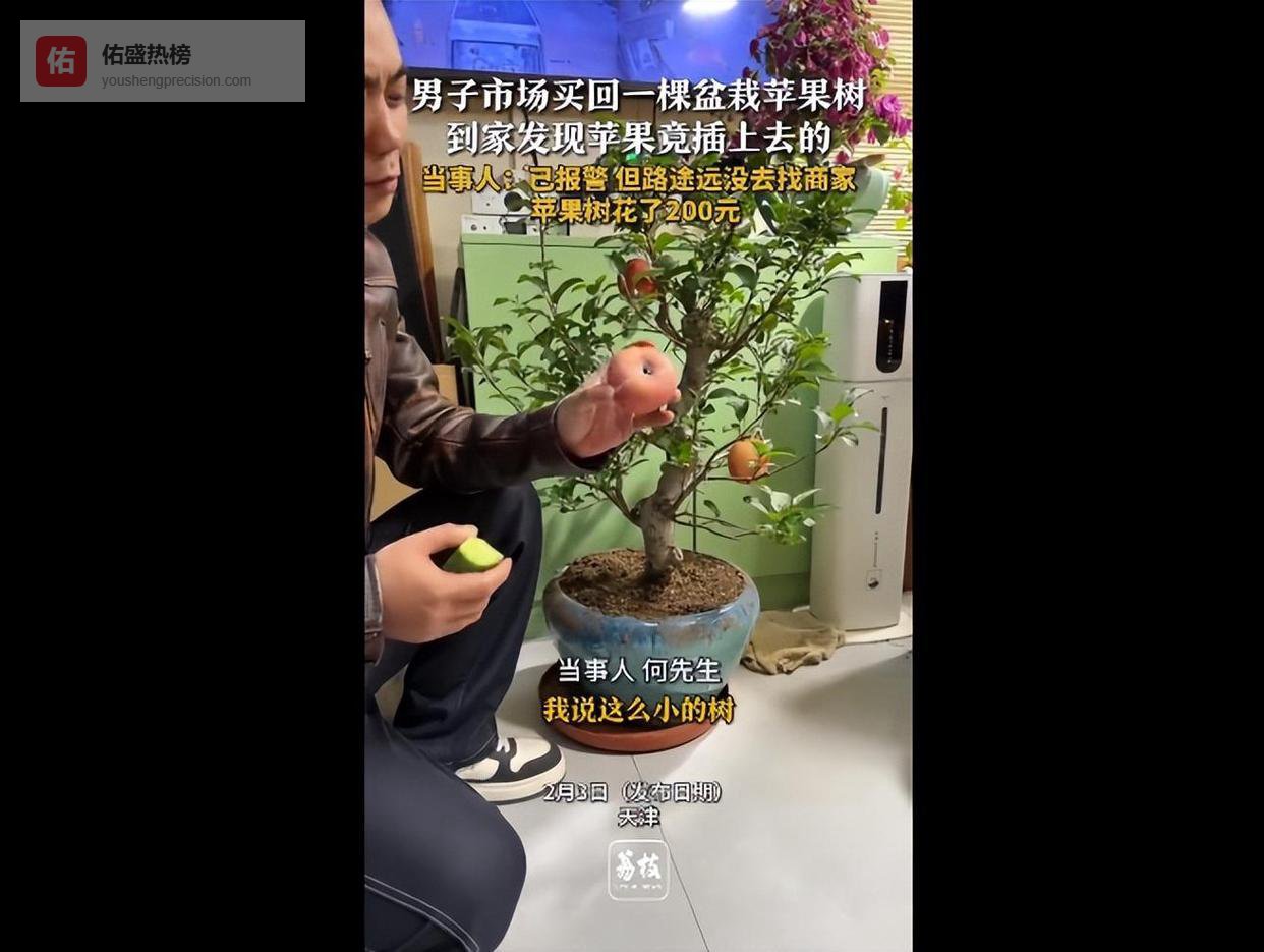 天津男子200元买苹果树，苹果竟是螺丝固定！