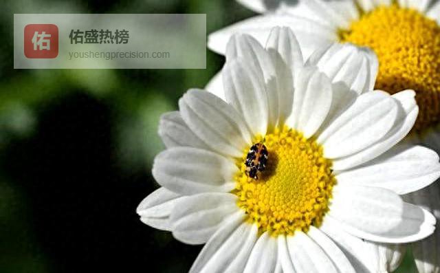 她主动时，其实已经把整颗心都给你了