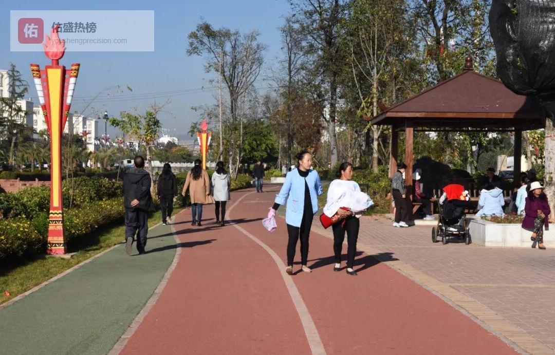 十年楚雄蝶变：从“母亲河”到“绿美城”的晨跑笔记