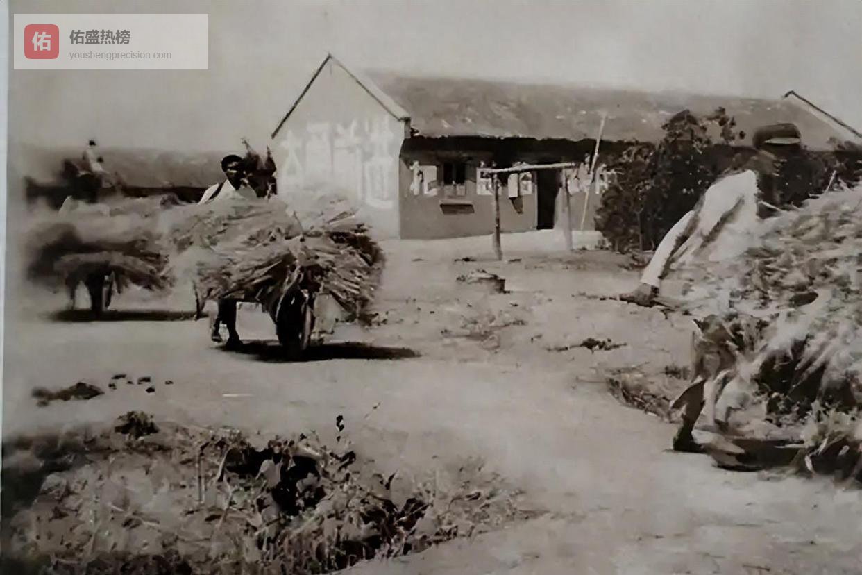 白茅岭澡堂惊现神秘凶杀案，人人皆成嫌疑对象！上海神探凭一截棉纱绳巧妙揭示谁是真正凶手