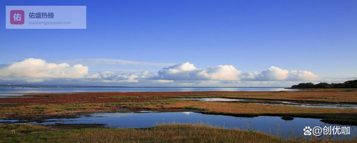 当一个人总是敷衍你，也不拒绝你，原因多半是这些