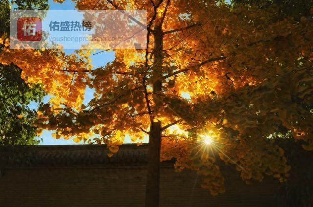 别再讨好，把贵人吸引过来的5张底牌