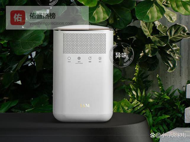 IAM和布鲁雅尔空气净化器哪个质量好些？多方面对比分析，揭晓答案！
