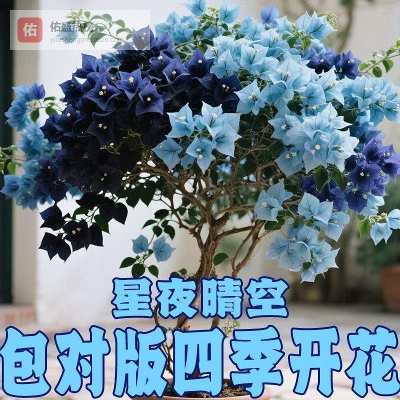 独居青年的生活痛点：房间冷清缺乏生机？内行推荐治愈系绿植，摆上后一周内让小家氛围提升，瞬间生机盎然！