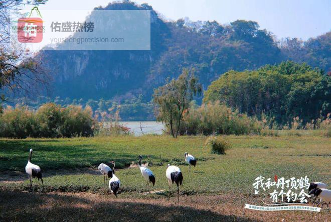 新春将至！等你来星湖湿地行好运！