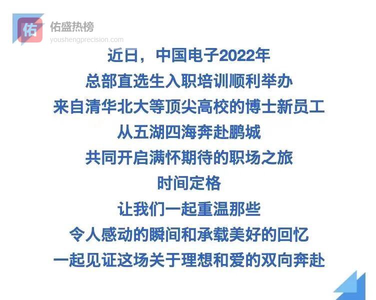十年磨一剑，中国电子锻造网信“国家队”