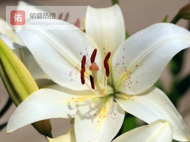 不回头，是心已走远