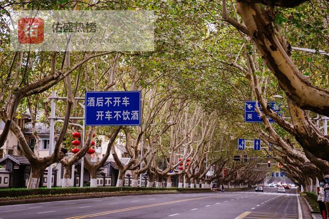 真正厉害的人，从不靠热闹证明自己