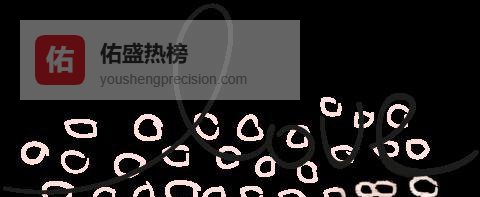 寒假成长记：从超市到守岁的年味旅程