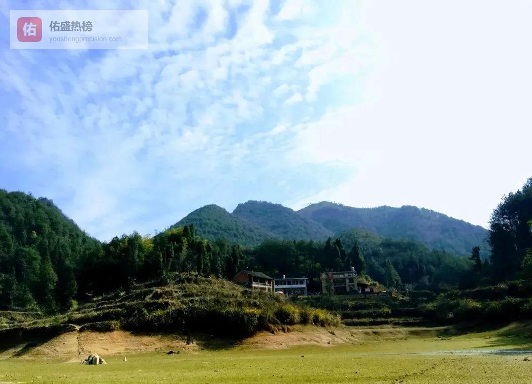 从流水线到硅谷：孙玲的11年“逃离”史诗