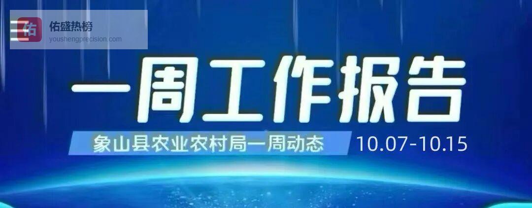象山一周多线调研：乡村振兴与绿色农业齐头并进