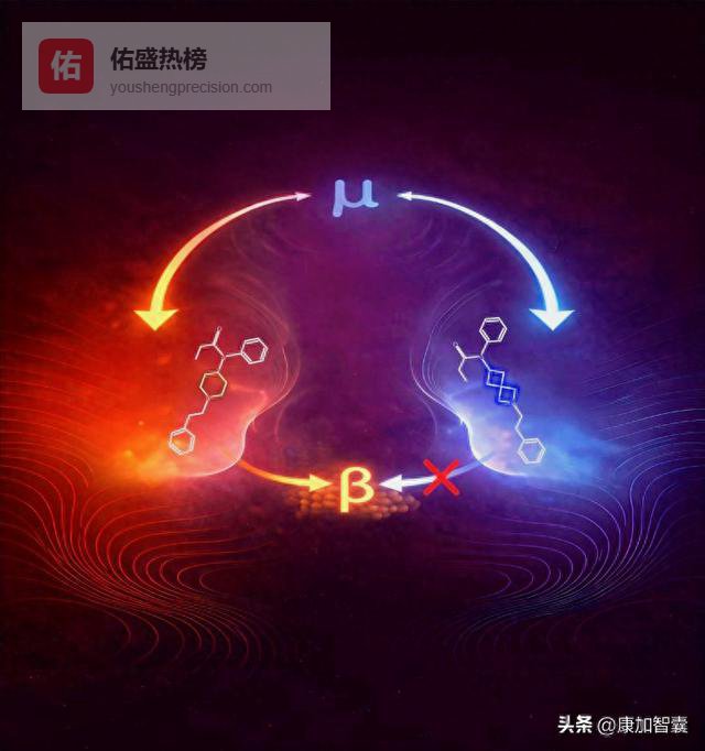 科学家重新设计芬太尼：保留止痛效果，降低致命副作用