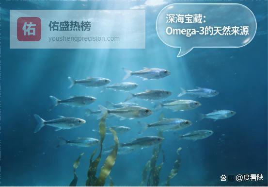 哪个牌子鱼油好？鱼油品牌，工艺优含量足