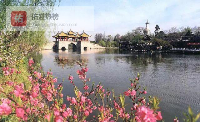 江苏车牌一图秒记：字母里的江南密码