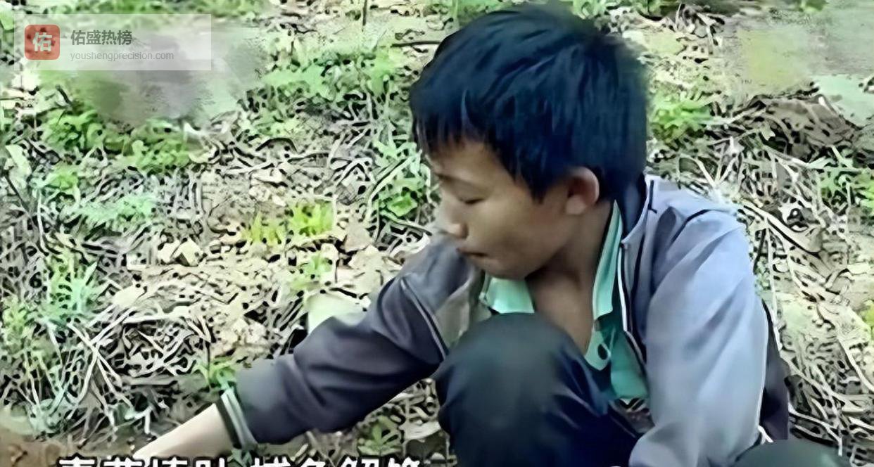 广西一名六岁男孩遭生母遗弃，以采野菜为生，十四岁时花费150万
