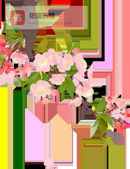 方向盘后的最后一支玫瑰：齐艳红与16年公交情缘