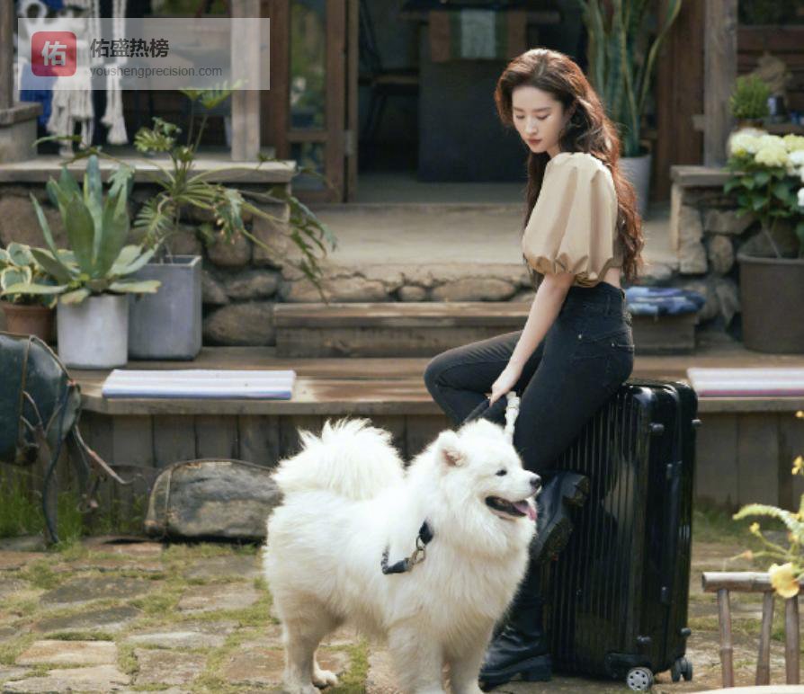 刘亦菲英语口语修炼手册：从“仙女”到“标兵”的隐形翅膀