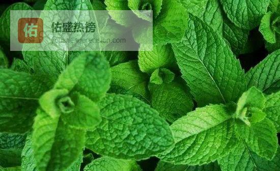 跨文化沟通：从餐桌到办公桌的60句高频短语