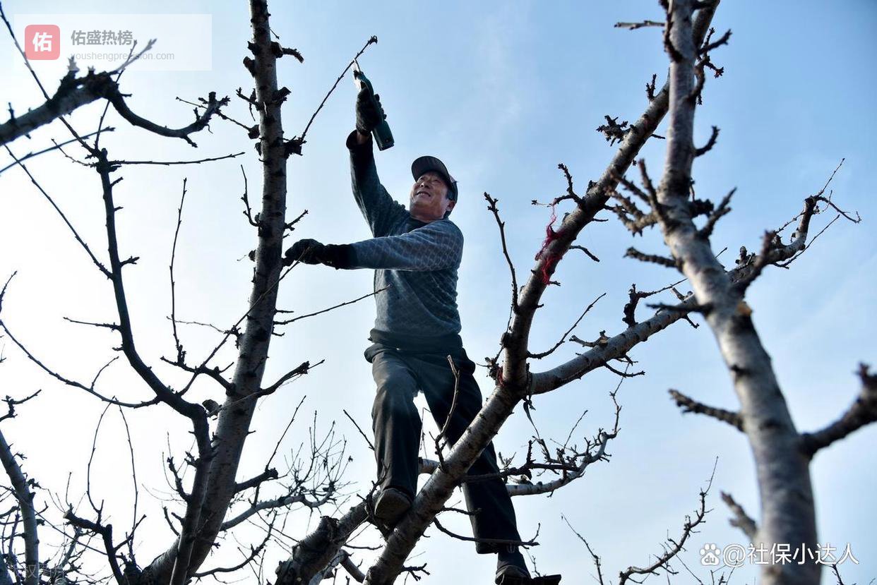 1.5亿退休人员笑醒了！2026年或迎来22连涨，部分人还有更高收入