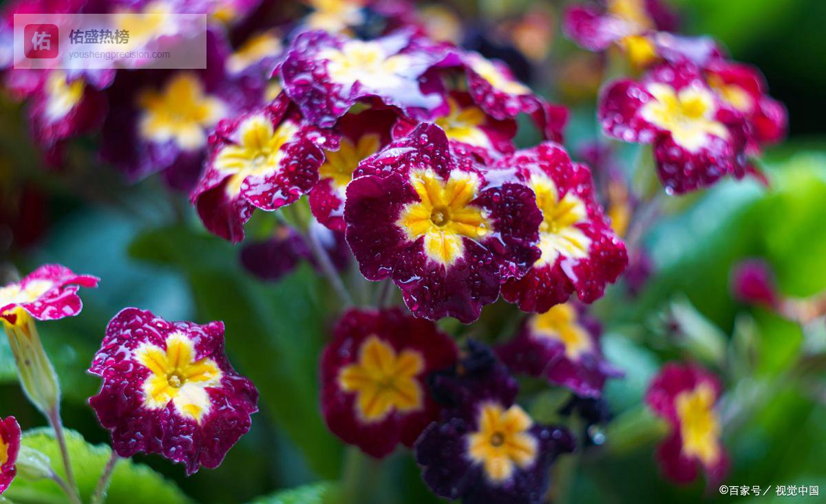 家里若有这三种声音，说明是兴旺发达的征兆，一定要珍惜！