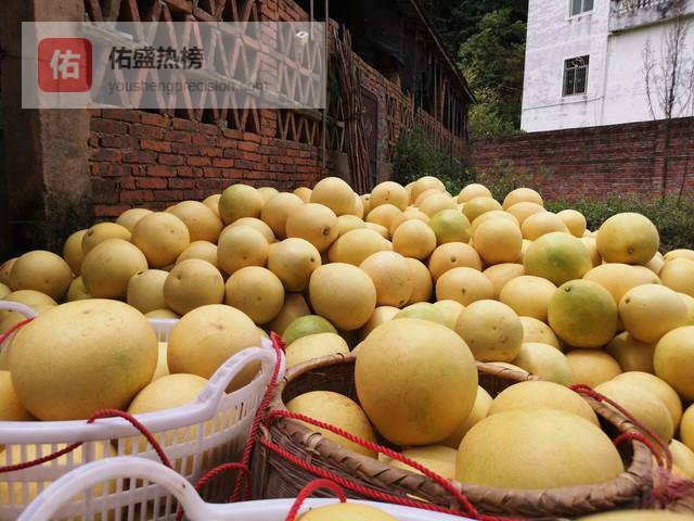 五种人坚决不能吃柚子，选对优质柚子避坑又安心！