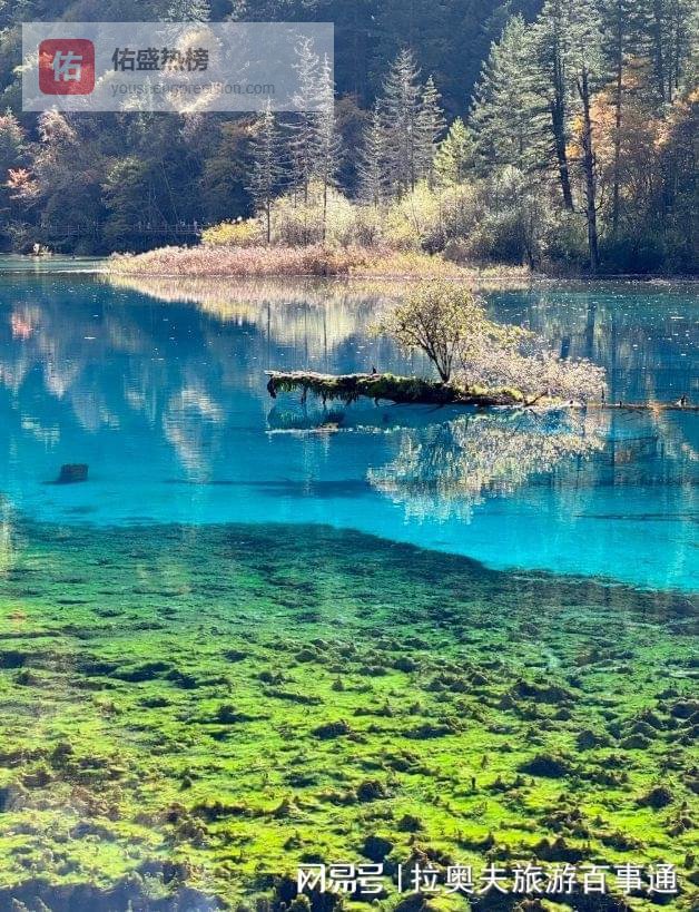 过来人说说：去四川7日游要多少钱？四川七天六晚超全旅游攻略