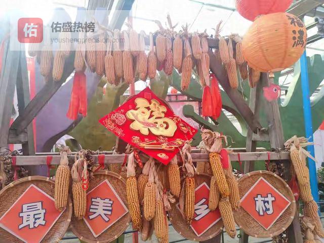 弃暖回村！老人道出过年大实话！