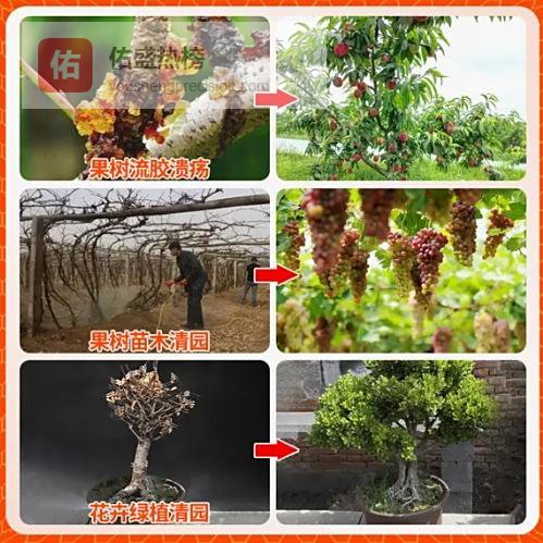 果农必看！面对果树病虫害频发、养护难题不断的高频场景，内行都用这些避坑方法，实现果树健康率提升80%的惊人结果！