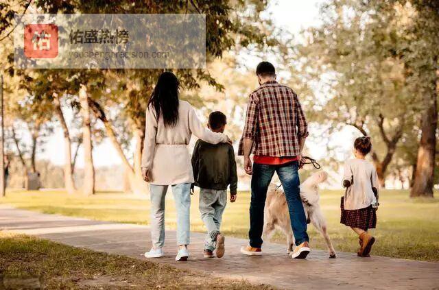 背影、尊敬与森林：写给成年前的最后一封信