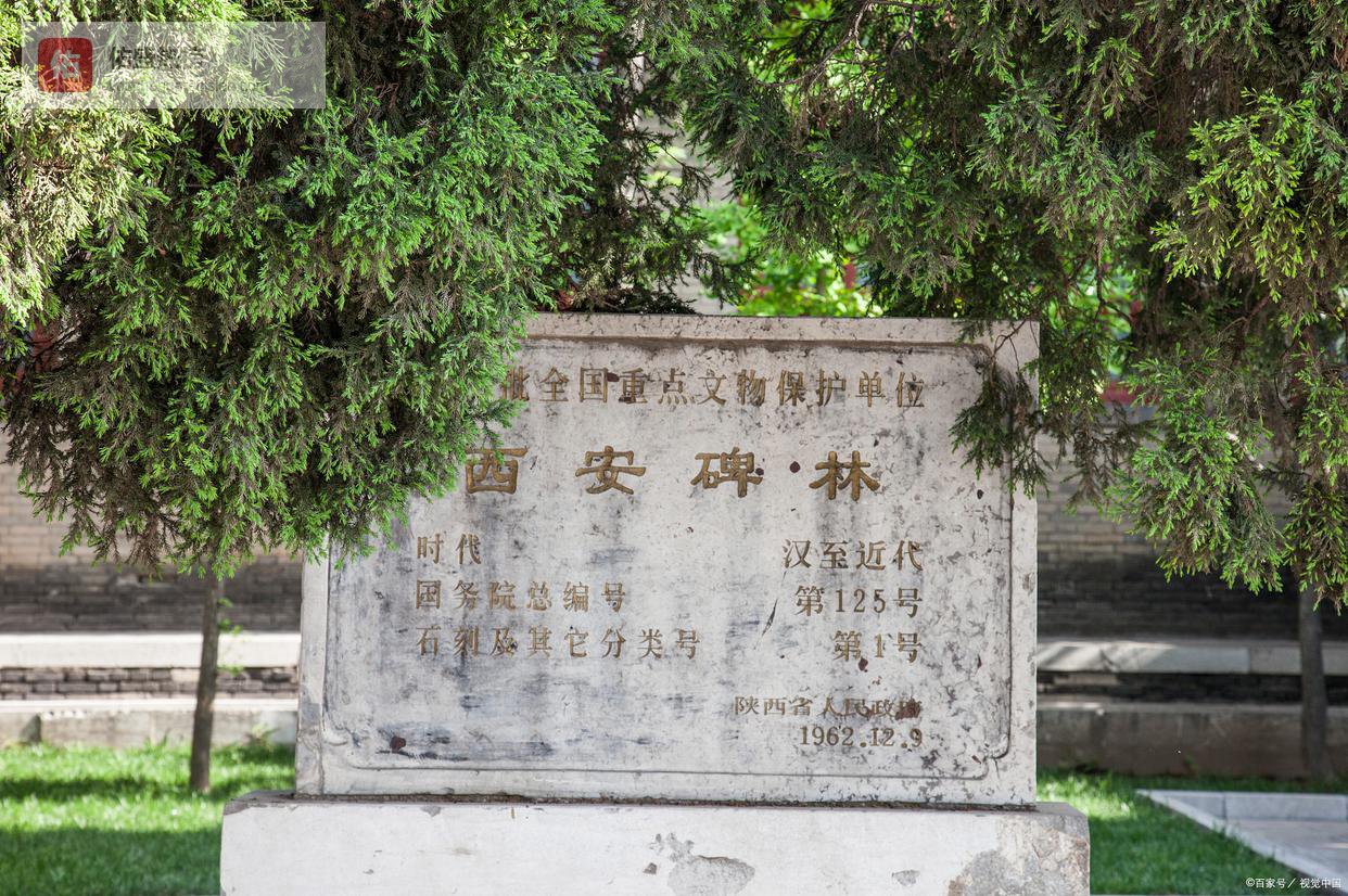 别再盯着雁塔碑林了！西安未央凭什么成主城黑马？答案藏在地铁线路里