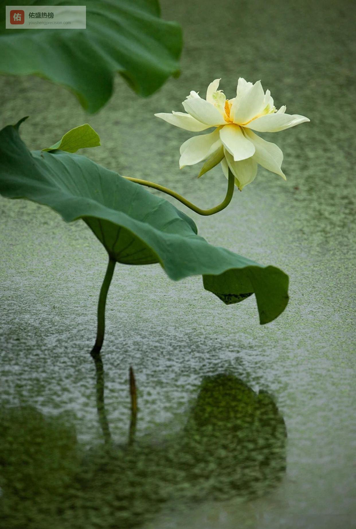 10把钥匙，打开“我们”模式