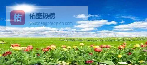 一朵花教会我的耐心